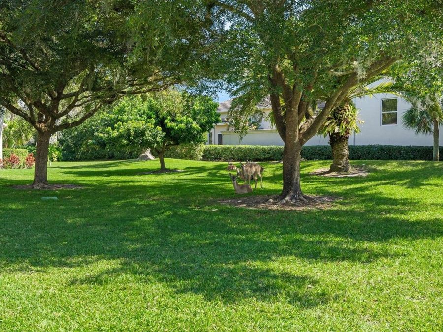 Property Image 55