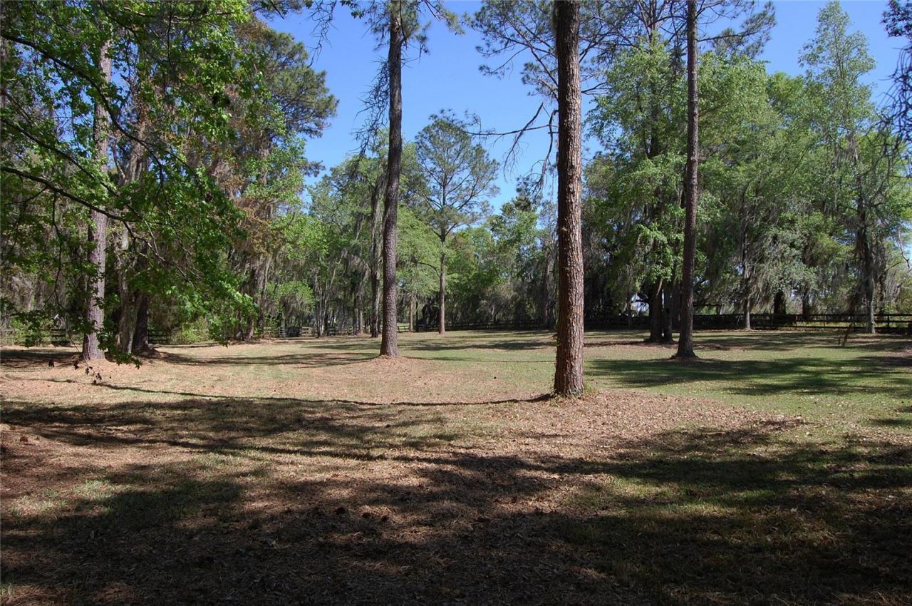27471 NW 173rd Terrace, Alachua, FL 32615 Photo