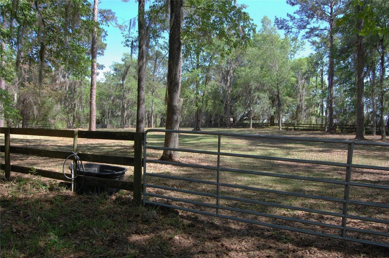 27471 NW 173rd Terrace, Alachua, FL 32615 Photo