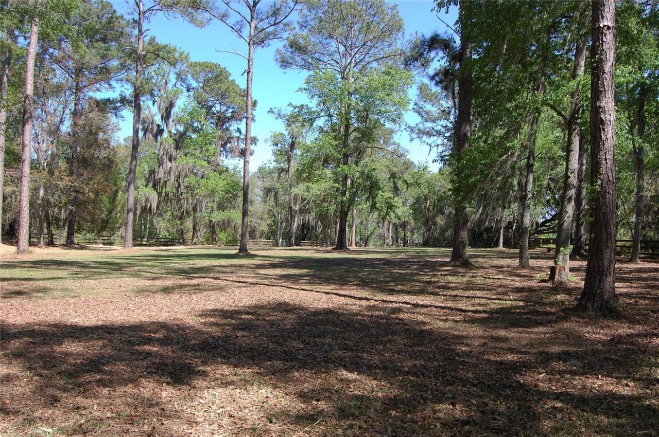 27471 NW 173rd Terrace, Alachua, FL 32615 Photo