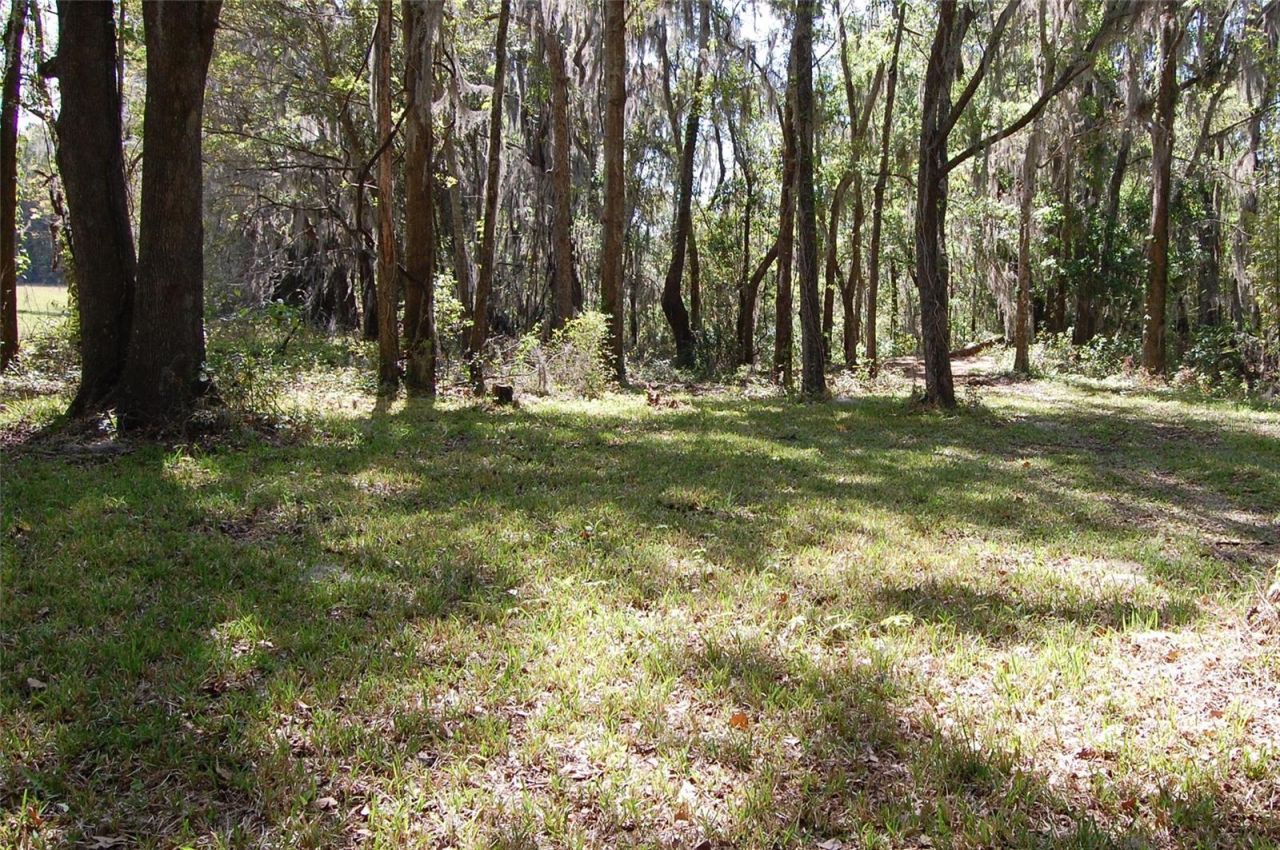 27471 NW 173rd Terrace, Alachua, FL 32615 Photo