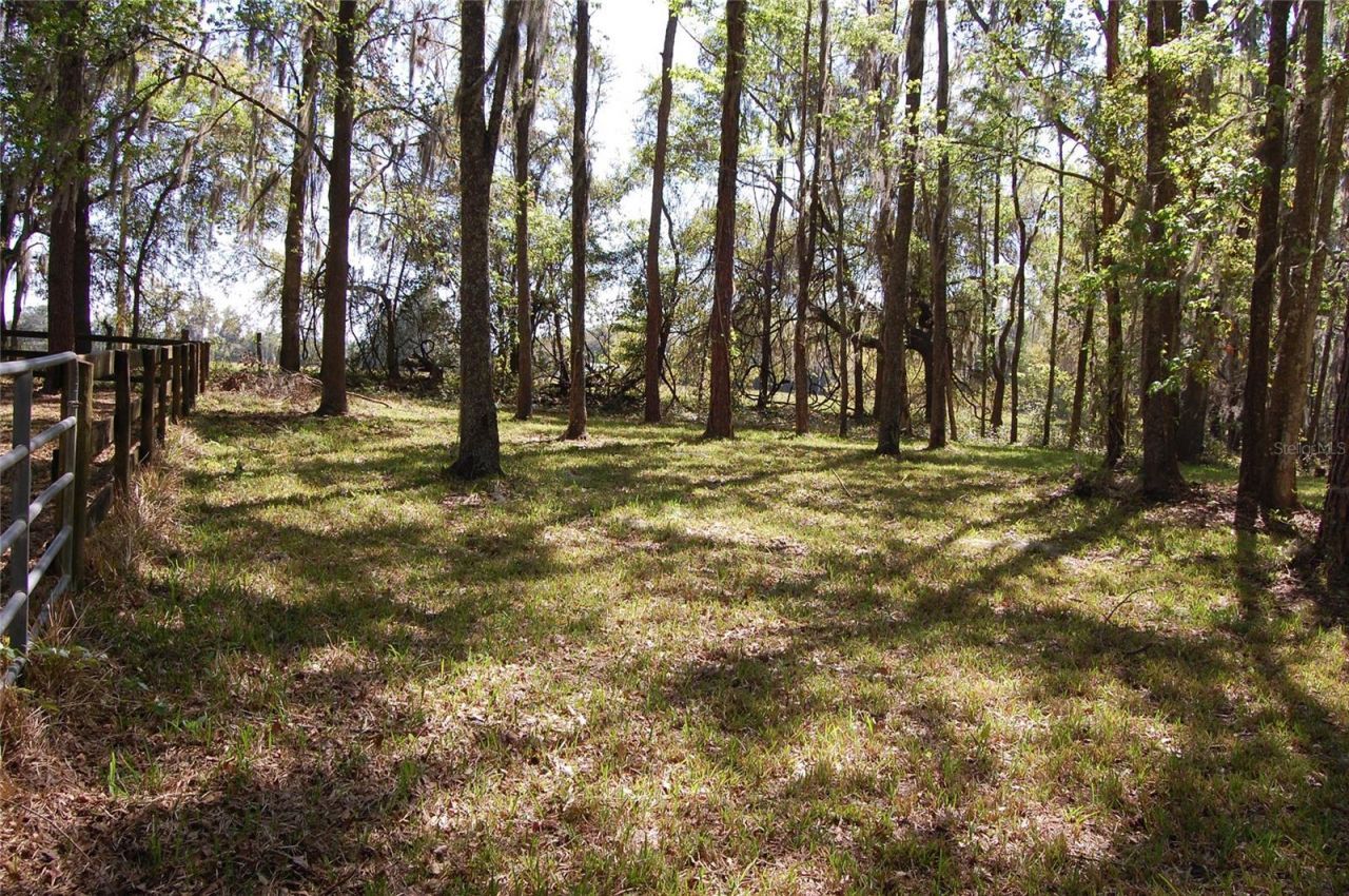 27471 NW 173rd Terrace, Alachua, FL 32615 Photo
