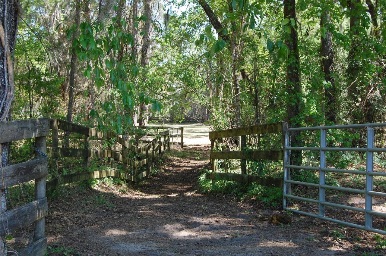 27471 NW 173rd Terrace, Alachua, FL 32615 Photo