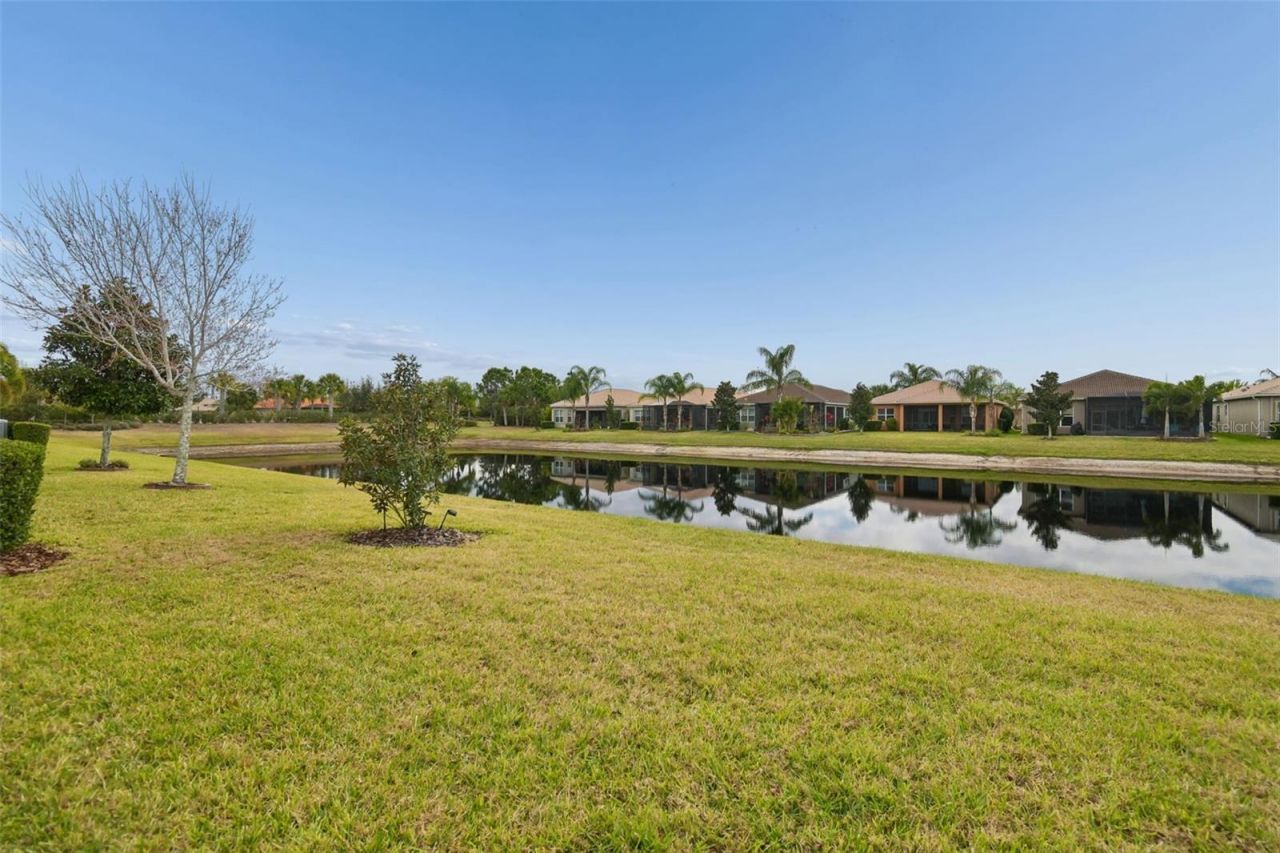 4834 Marble Springs Circle , Wimauma, FL 33598 Photo