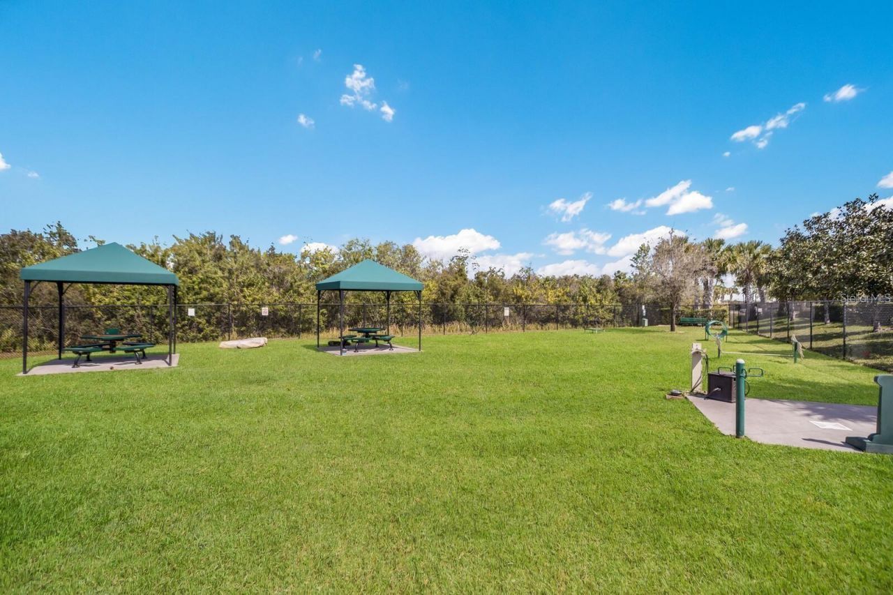 4834 Marble Springs Circle , Wimauma, FL 33598 Photo