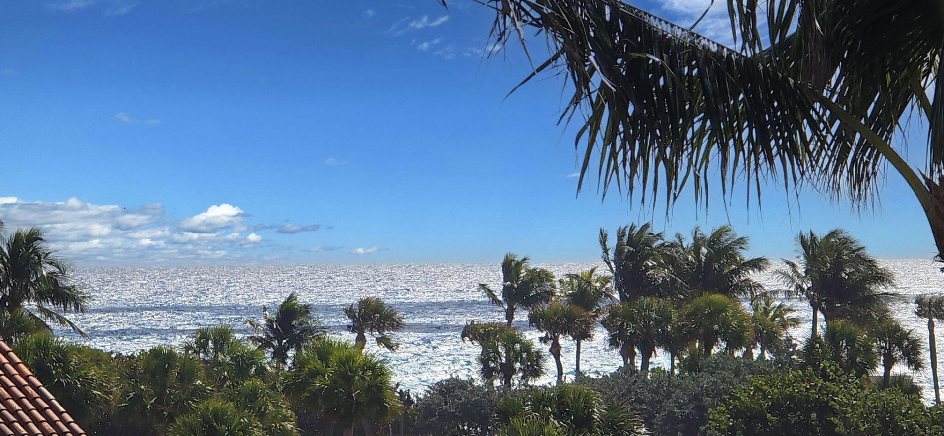 2860 S Ocean Boulevard, Unit 514, Palm Beach, FL 33480 Photo