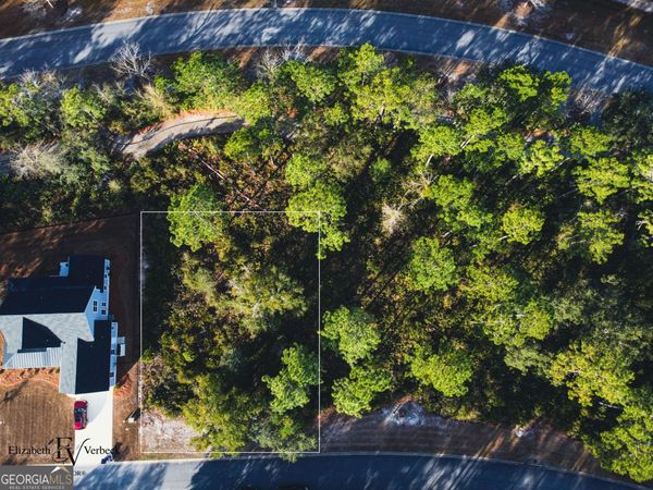 490 Blue Heron Trail, Waverly, GA 31565