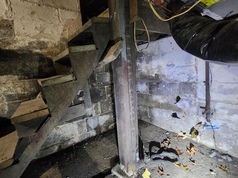 438 N Prospect Street, Unit 434, Marion, OH 43302 Photo 24