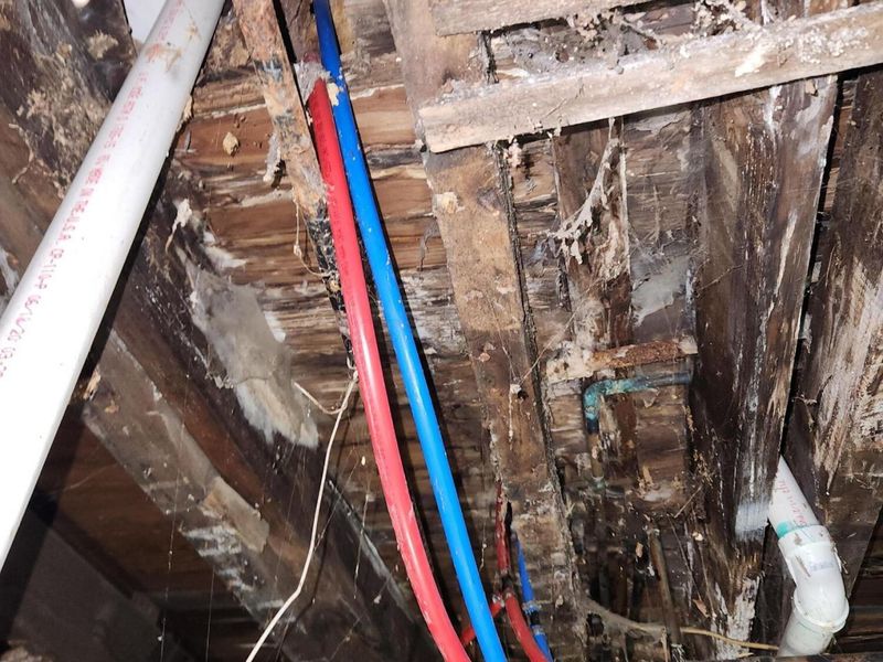 438 N Prospect Street, Unit 434, Marion, OH 43302 Photo 25