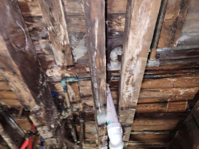 438 N Prospect Street, Unit 434, Marion, OH 43302 Photo 27