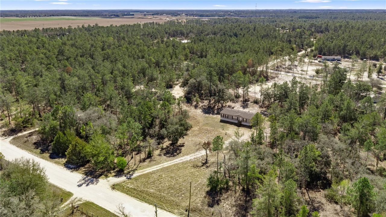 14650 SE 6th Lane , Williston, FL 32696 Photo