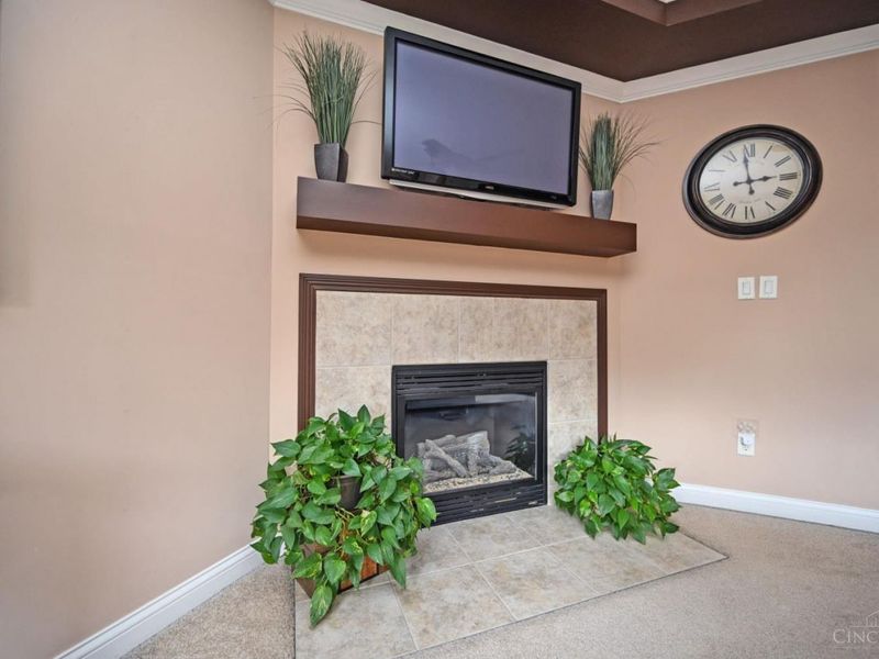 117 Bares Creek Court, Loveland, OH 45140 Photo 50