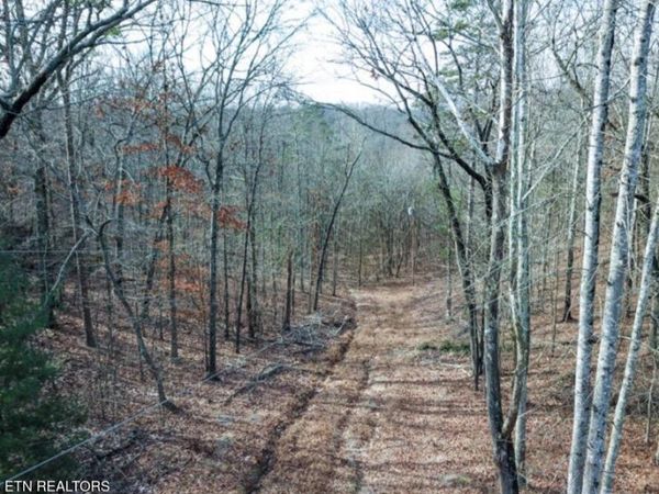 Hall / Tarwater St, Rockwood, TN 37854