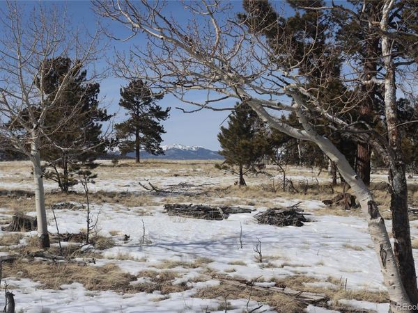 96 Baler Court , Hartsel, CO 80449