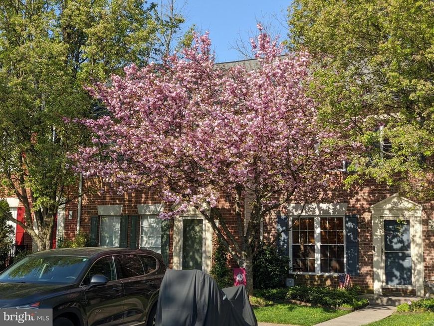 36 White Pine Court, Cockeysville, MD 21030 Main Photo