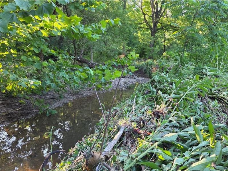 35515 State Route 800, Sardis, OH 43946 Photo 4