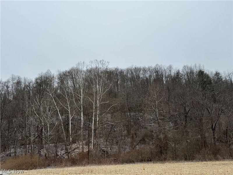 35515 State Route 800, Sardis, OH 43946 Photo 6