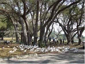 3326 Farragut St , Unit 6D, Hollywood, FL 33021 Photo