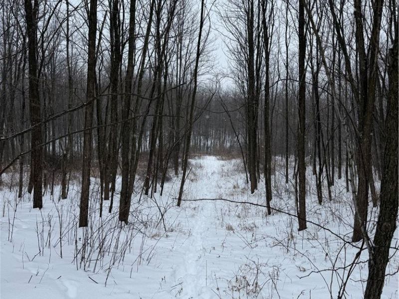 0 State Route 30 Street , Mansfield, OH 44907 Photo 3