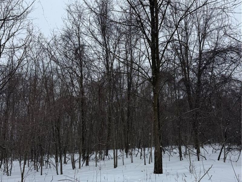 0 State Route 30 Street , Mansfield, OH 44907 Photo 5