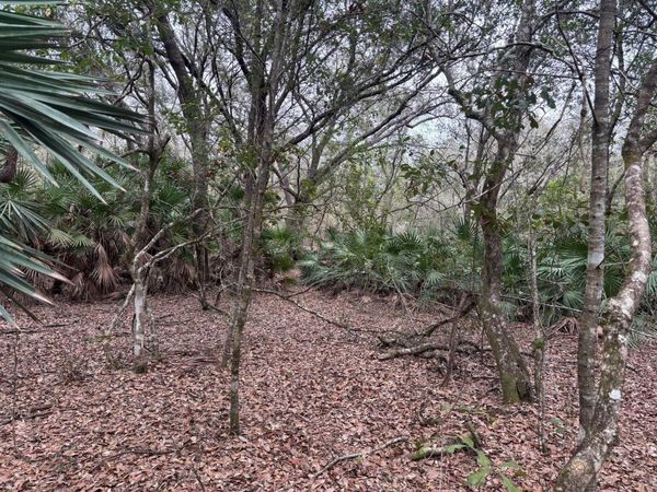 0 Old Grade Rd, Polk City, FL 33868