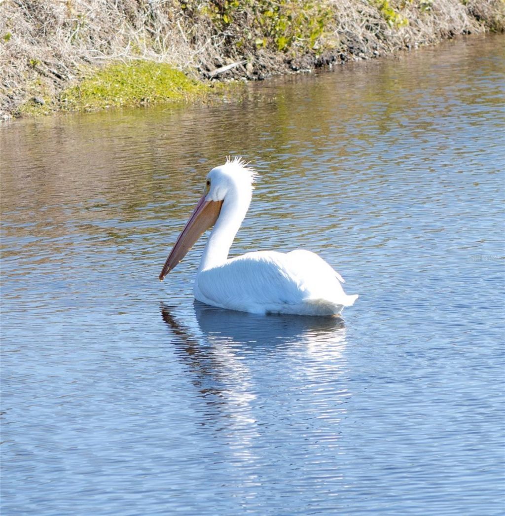 863 Audubon Drive, Unit 863, Bradenton, FL 34209 Photo