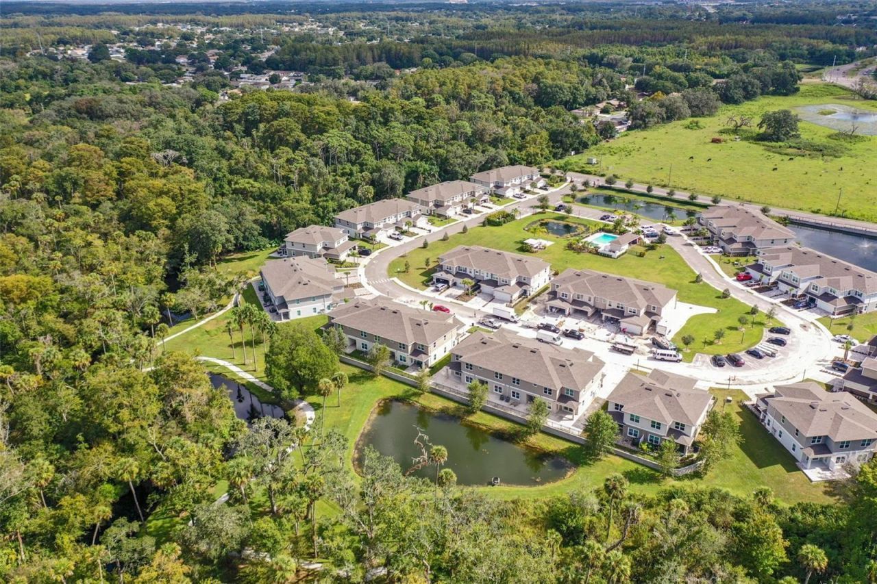 5472 Riverwalk Preserve Drive , New Port Richey, FL 34653 Photo