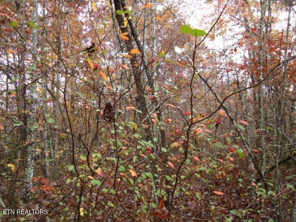 28.30ac Whitson Hollow Rd, Red Boiling Springs, TN 37150