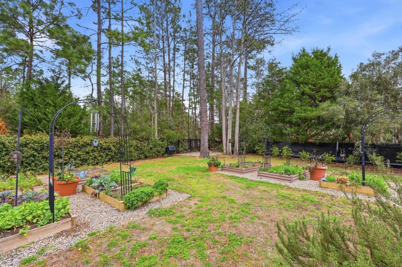 196 Low Country Loop  Photo 59