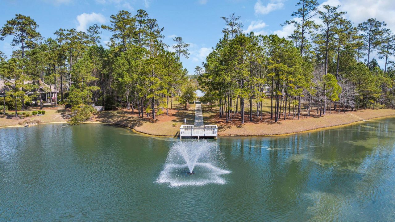 196 Low Country Loop  Photo 68