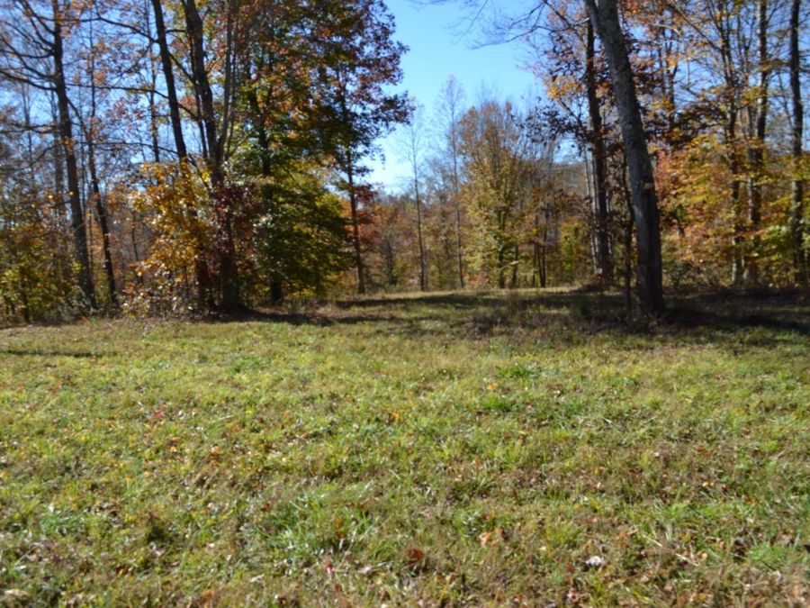 Property Image 25