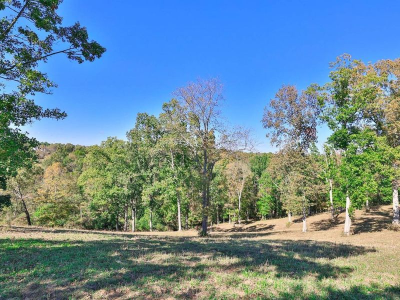 16120 Highway 10 N HWY N, Butler, KY 41006 Photo 36