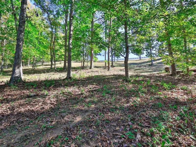 16120 Highway 10 N HWY N, Butler, KY 41006 Photo 40