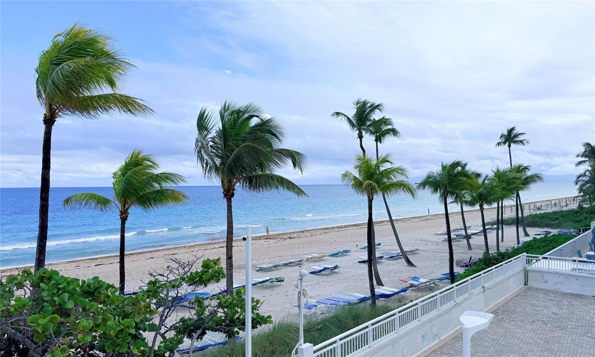 3500 Galt Ocean Drive, Unit 1604, Fort Lauderdale, FL 33308 Photo