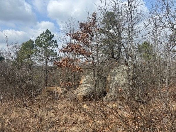 E 1732 Road, Clayton, OK 74536