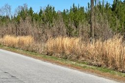 0 Herndon Street photo 4