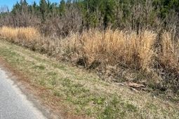 0 Herndon Street photo 4