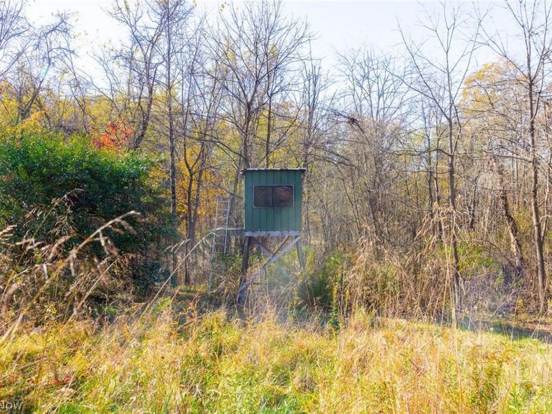 Plum Road, Kimbolton, OH 43749 Photo 12