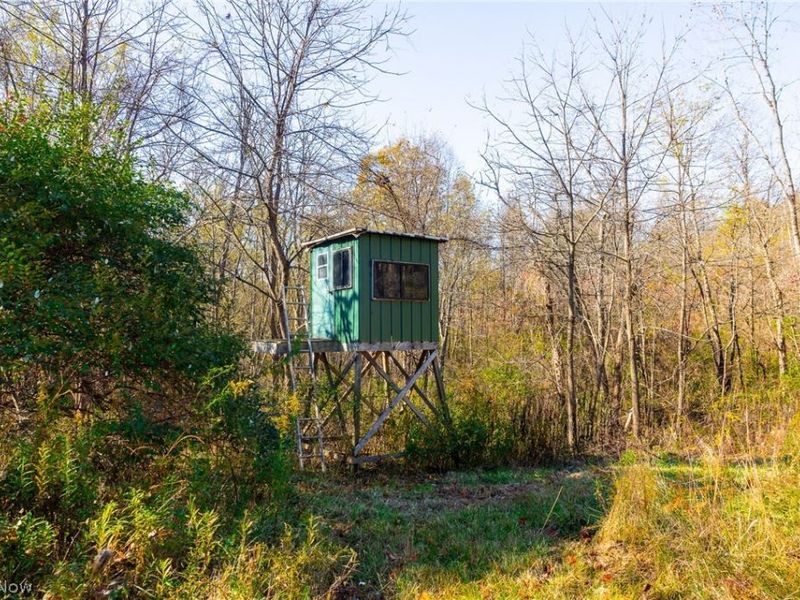 Plum Road, Kimbolton, OH 43749 Photo 13