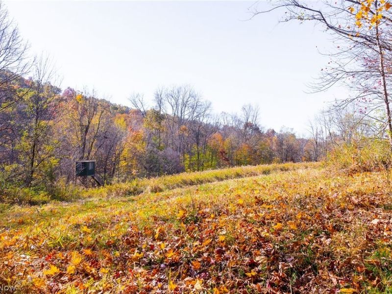 Plum Road, Kimbolton, OH 43749 Photo 15