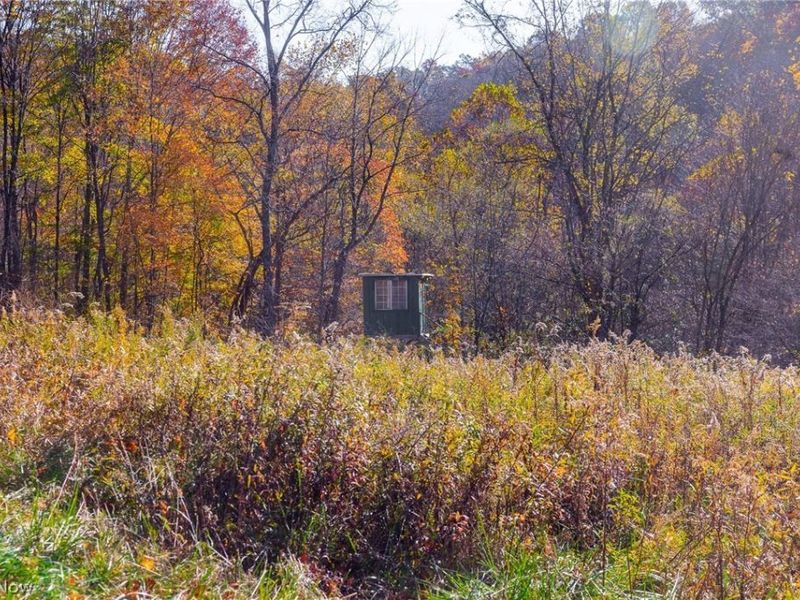 Plum Road, Kimbolton, OH 43749 Photo 16