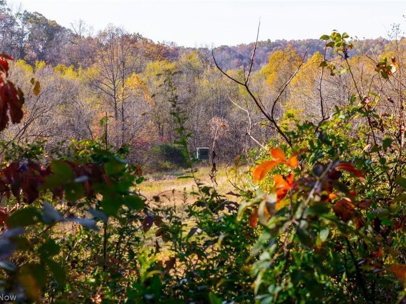 Plum Road, Kimbolton, OH 43749 Photo 17