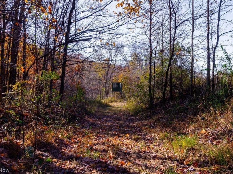 Plum Road, Kimbolton, OH 43749 Photo 18