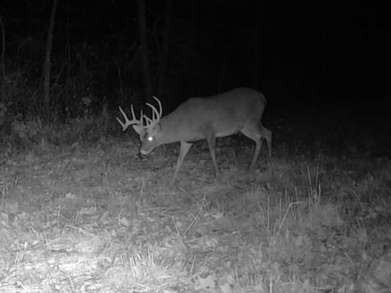 Plum Road, Kimbolton, OH 43749 Photo 19