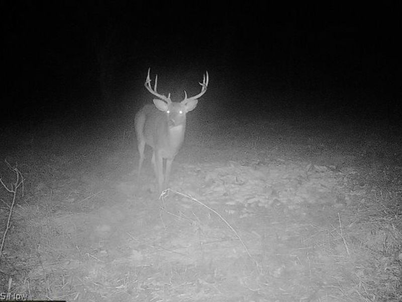 Plum Road, Kimbolton, OH 43749 Photo 20