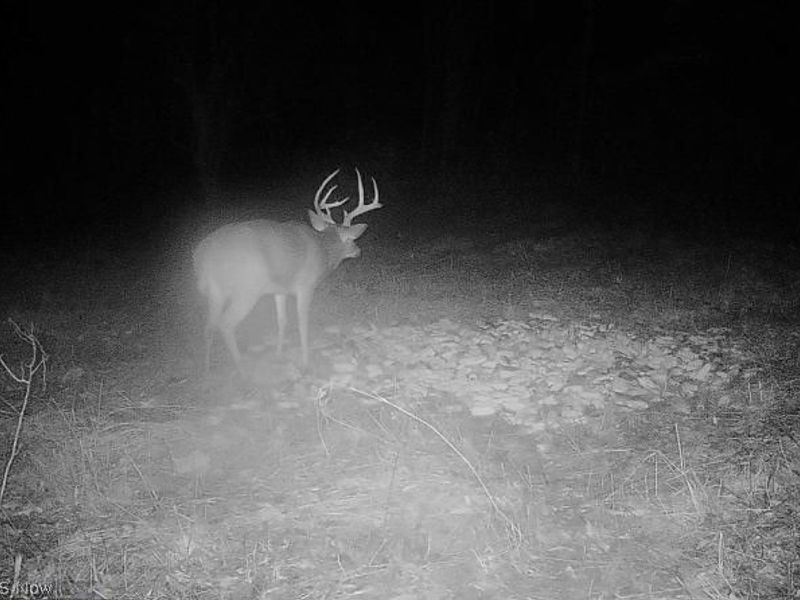 Plum Road, Kimbolton, OH 43749 Photo 21