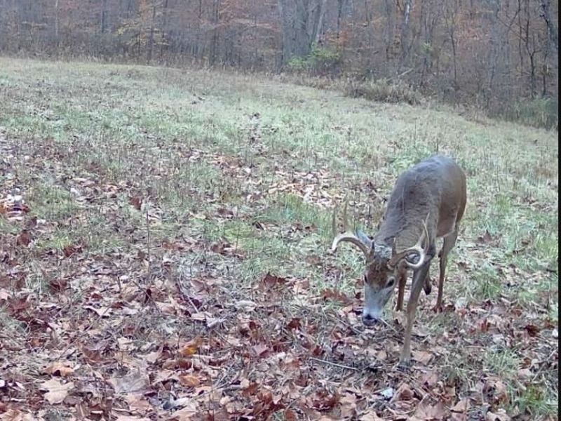Plum Road, Kimbolton, OH 43749 Photo 22