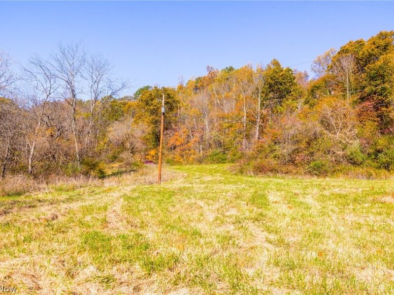 Plum Road, Kimbolton, OH 43749 Photo 25