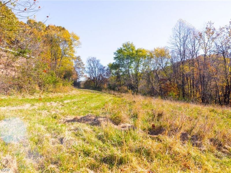 Plum Road, Kimbolton, OH 43749 Photo 26