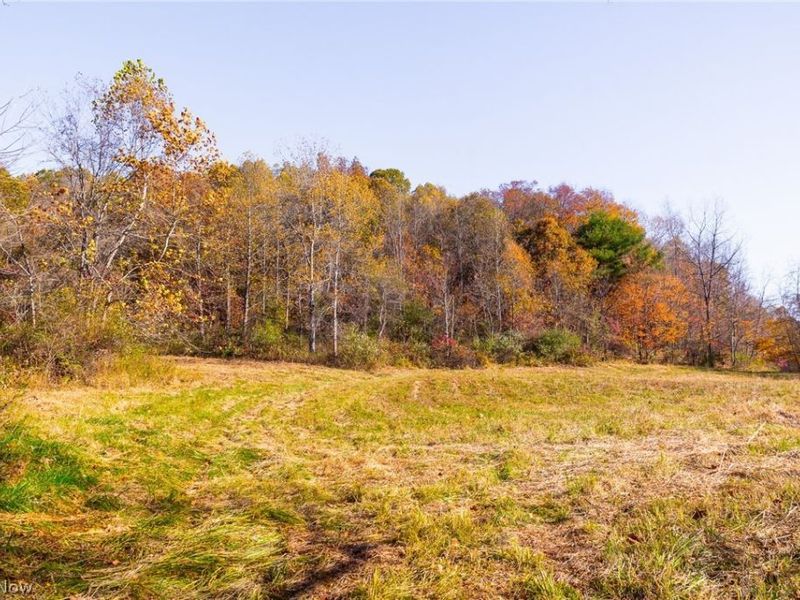 Plum Road, Kimbolton, OH 43749 Photo 28